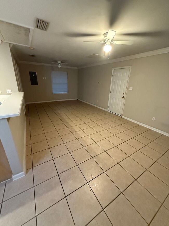 Building Photo - Studio available 9/1/2026!!