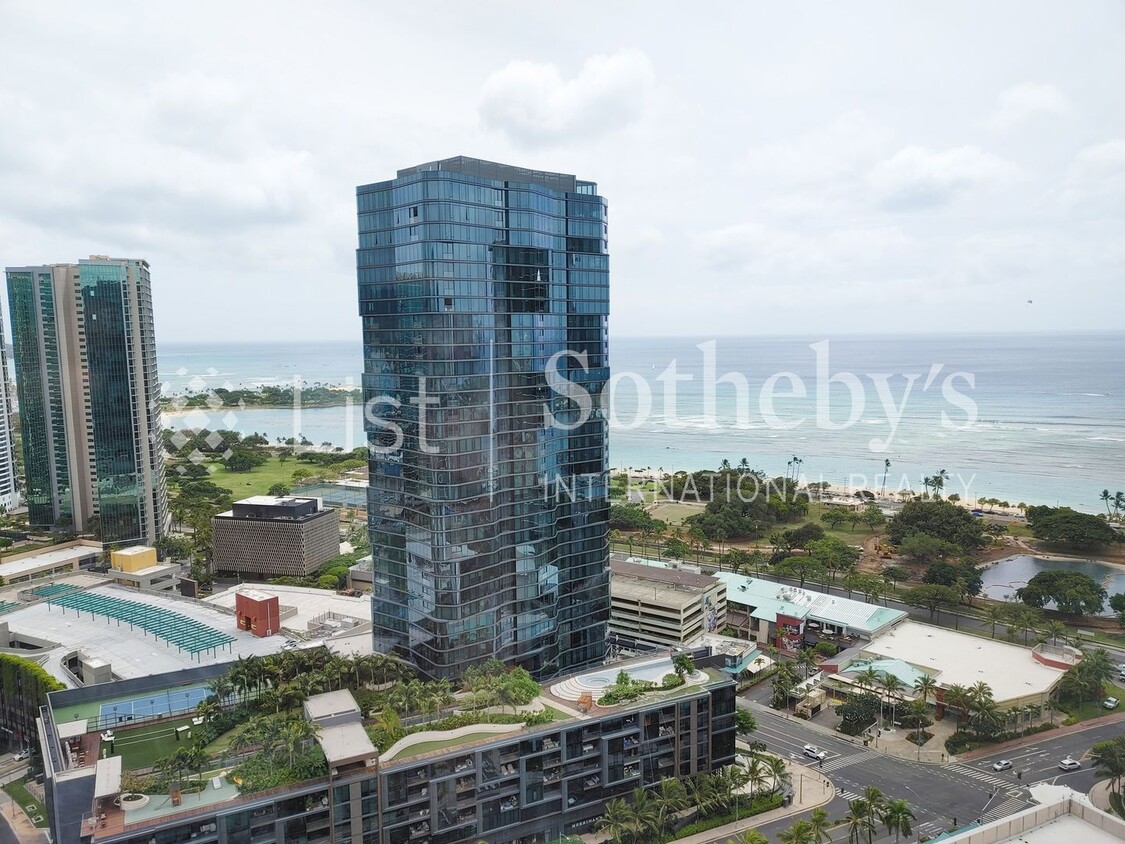 Ae'o #3108 | Honolulu, HI - Ae'o #3108  |  Honolulu, HI