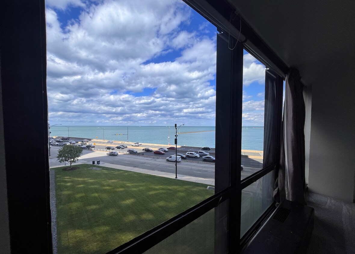 Foto principal - 900 N Lake Shore Dr
