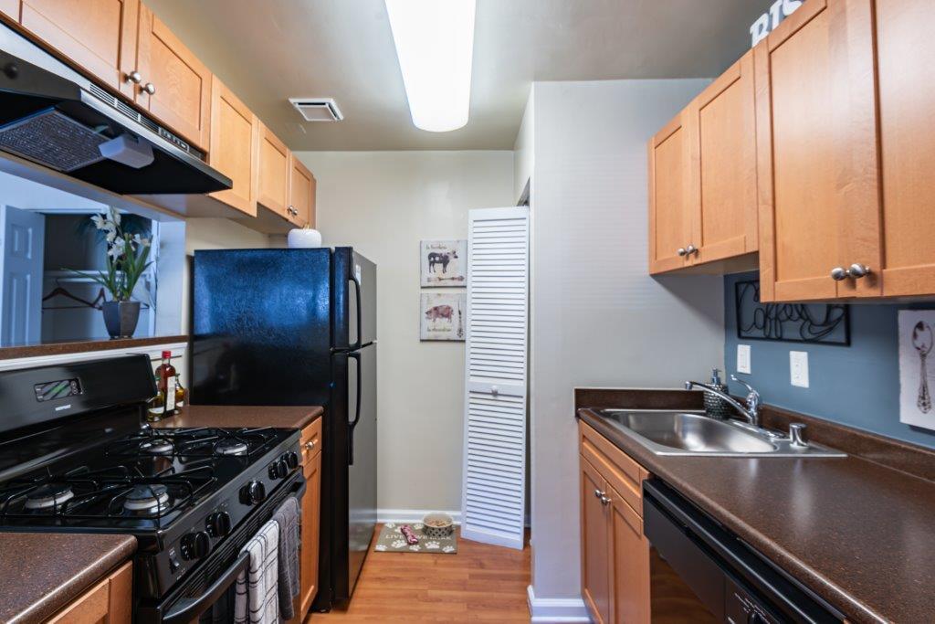 Foto principal - Parke Laurel Apartment Homes