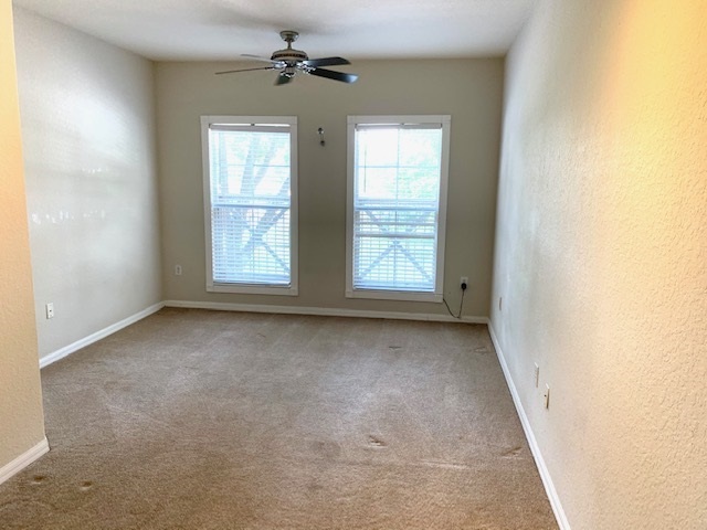 new carpet living/dining room - 410 S Armenia Ave