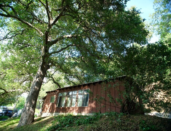 Building Photo - 9710 Mistletoe Rd