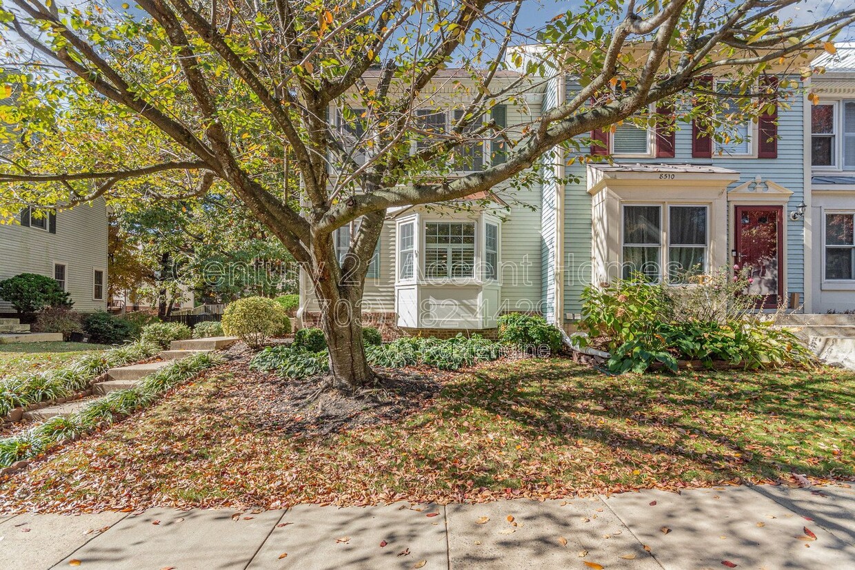 Photo - 8512 Laurel Oak Drive