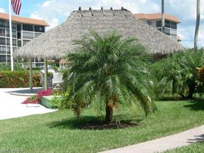 Foto del edificio - 2850 Gulf Shore Blvd N