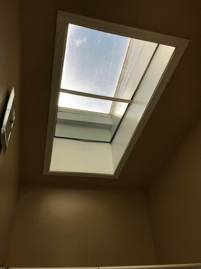 Bathroom skylight; 1 of 3 skylights in the unit! - 918 N. Calvert Street