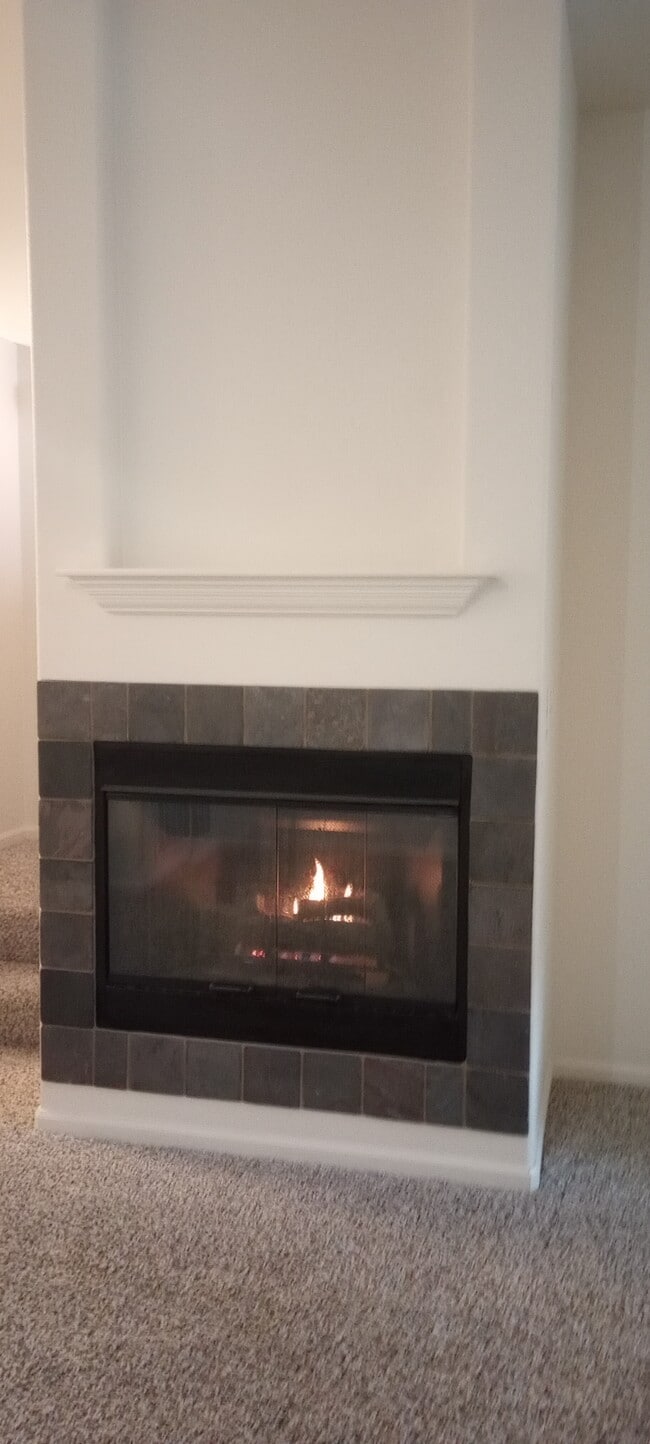 gas fireplace in living room - 5465 Zephyr St