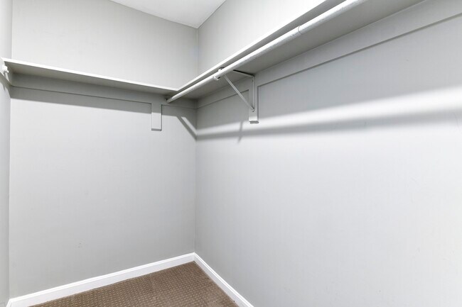 Walk-in closet in Bedroom 5 (downstairs) - 510 D St NE