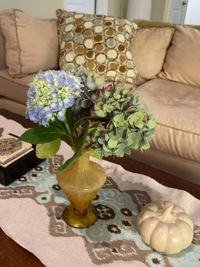 Building Photo - 20 Maple Hill Rdge