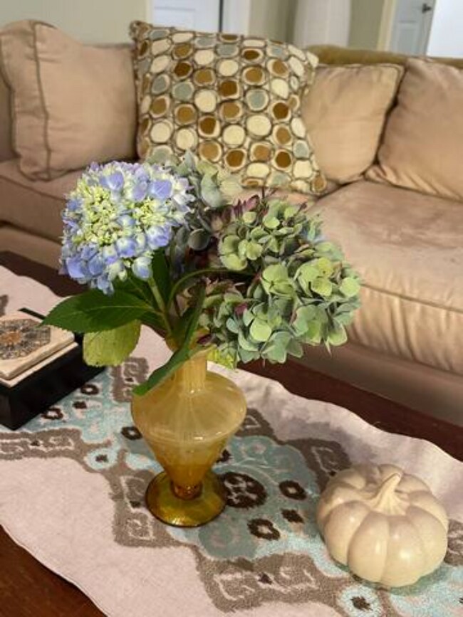 Foto del edificio - 20 Maple Hill Rdge