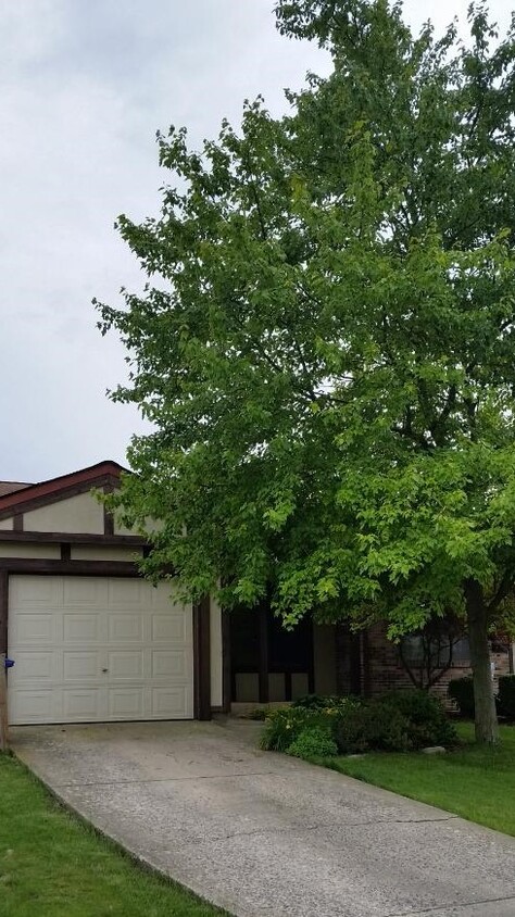 Primary Photo - 3217 Cairngorm Dr