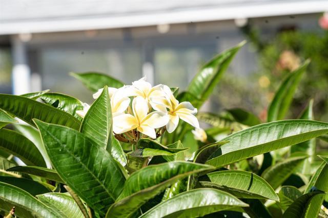 Foto del edificio - 535 Minnesota St