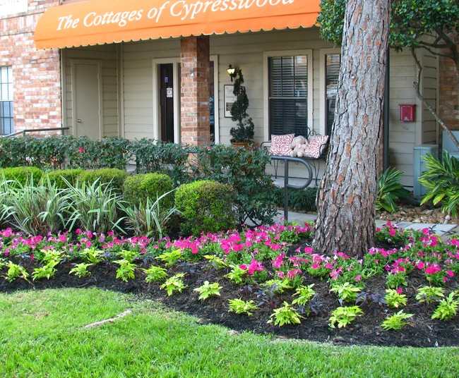 Cottages Of Cypresswood Apartments Spring Tx Apartments Com