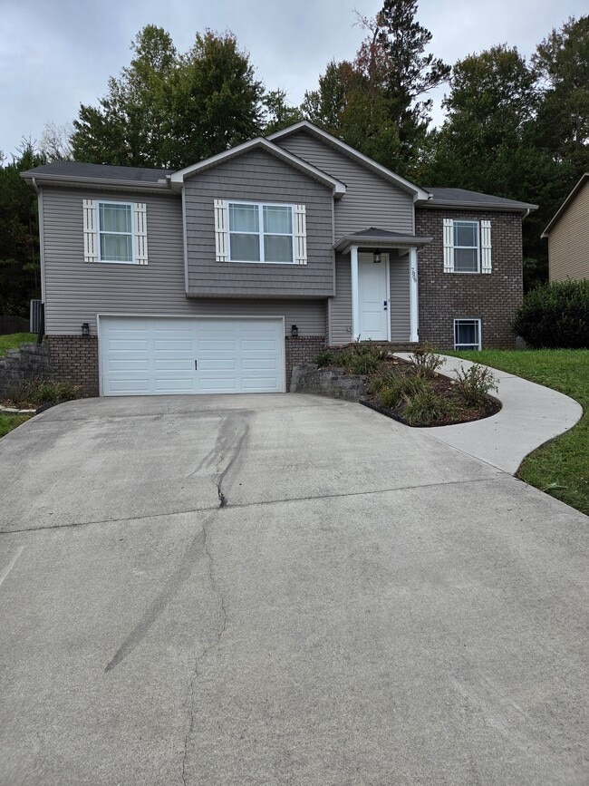 Building Photo - 7809 Elkton Ln