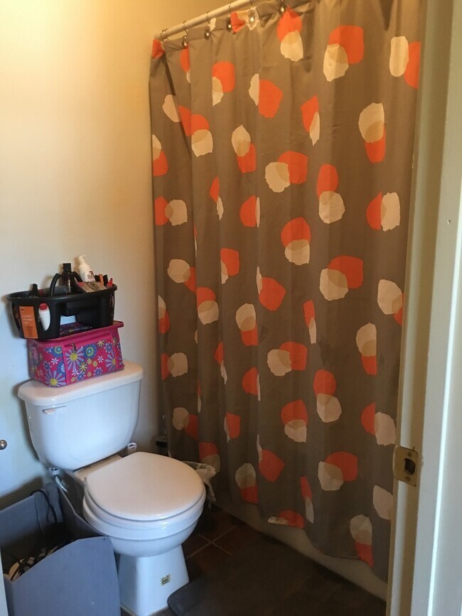 Building Photo - One Bedroom PR1109