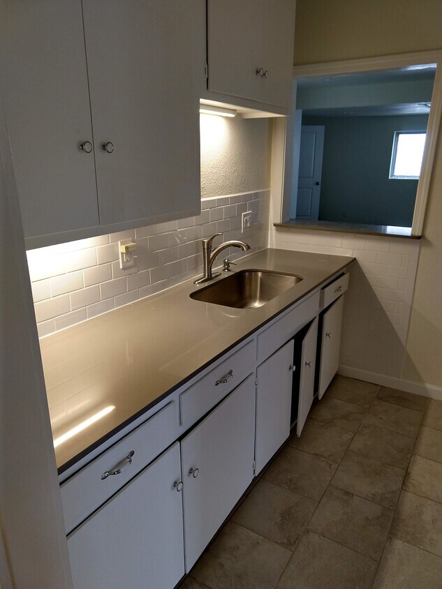 Kitchen counter-new sink - 250 Redrock Dr