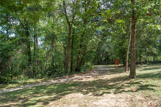 Explore the beauty of Kingstowne through its interconnected network of scenic walking trails