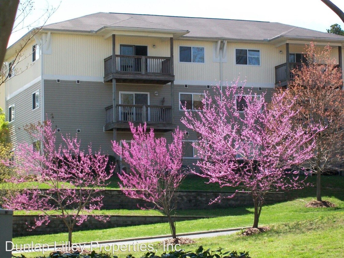 303 Smith Level Rd Unit Apt C31, Chapel Hill, NC 27516 Condo for Rent