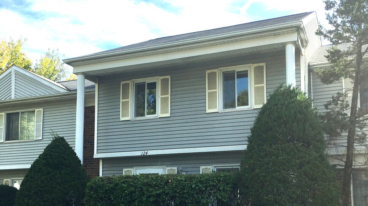 124 Somerset Ln, Bolingbrook, IL 60440 Townhome Rentals in