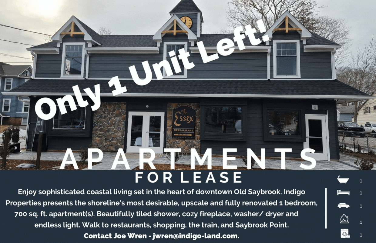 Brand New Luxury Apartment - 247 Main St