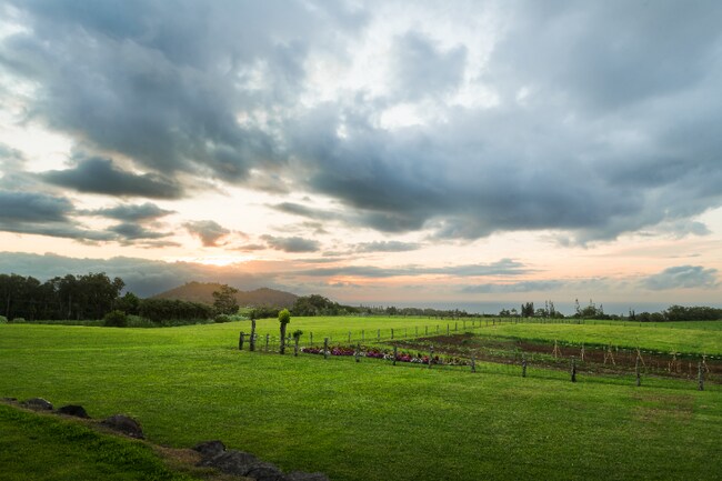 Foto del edificio - 1949 W Kuiaha Rd