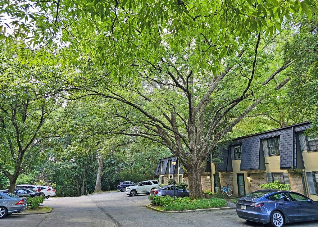 Primary Photo - 226 Triumph Dr NW