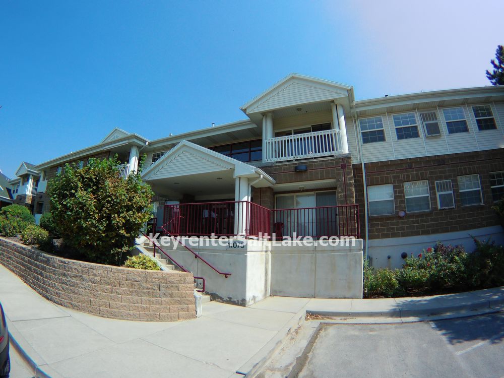 Primary Photo - 11075 S Grape Arbor Pl