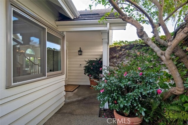 Building Photo - 2521 Point Del Mar