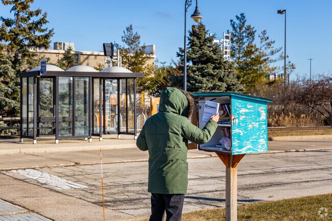 Little free libraries encourage a sense of communal sharing in Round Lake.