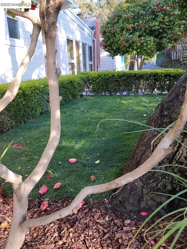 Foto del edificio - 295 Scenic Ave