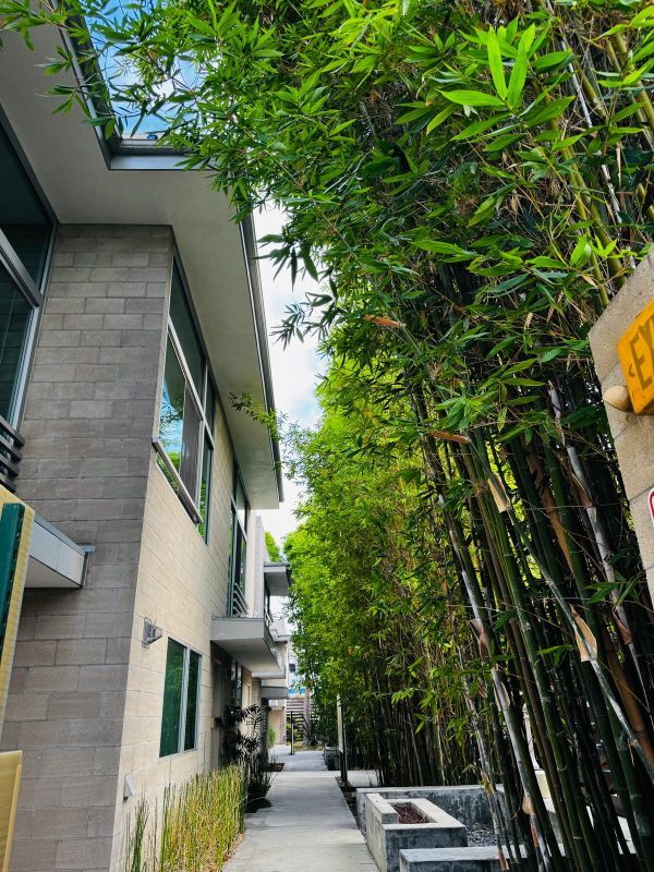 Foto del edificio - 717 Highland Ave