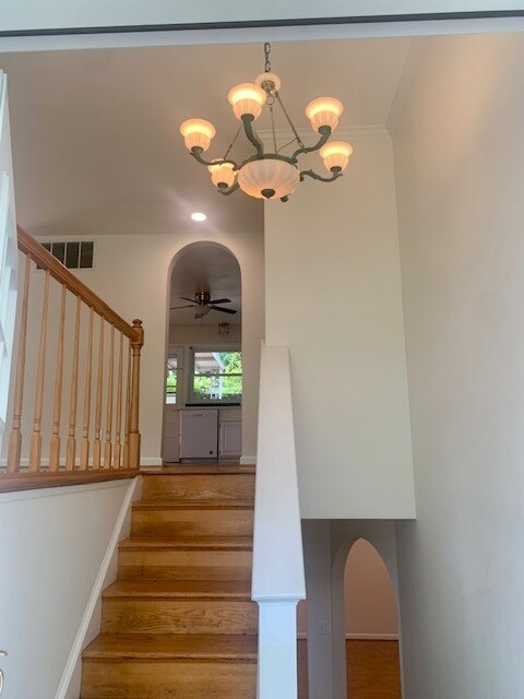 Building Photo - 5001 Alta Vista Rd