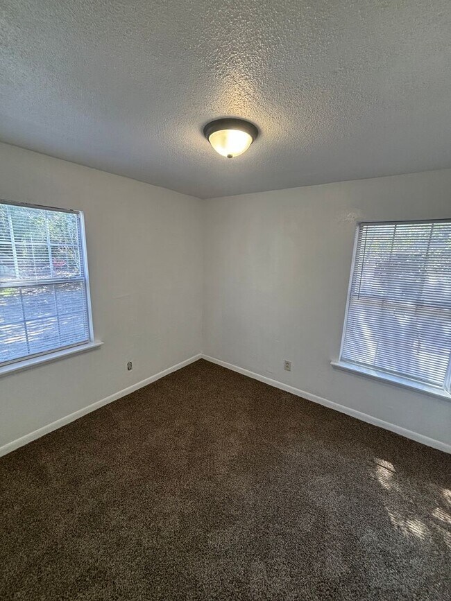 Foto del edificio - Freshly Renovated 3x1! Fully Fenced in Yar...