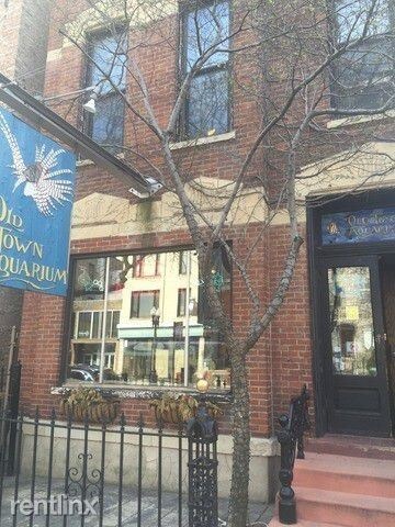 Foto principal - 1538 N Wells St
