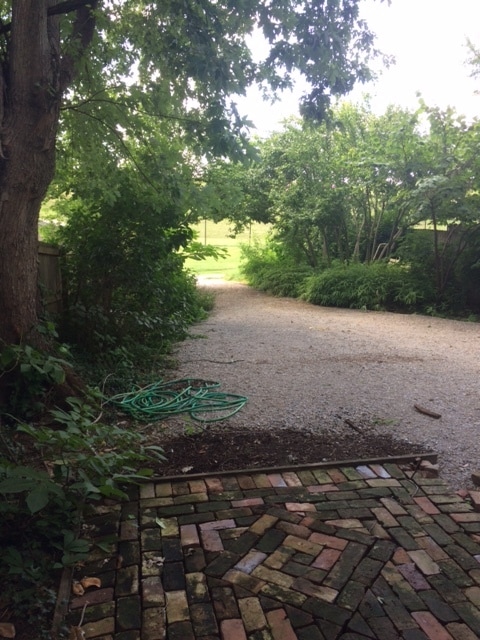 Backyard that backs up to water reservoir - 120 Claremont Ave