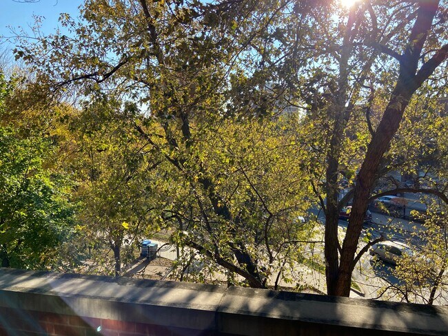 Front balcony view - 1535 N Wicker Park Ave