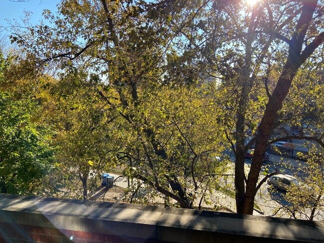 Front balcony view - 1535 N Wicker Park Ave