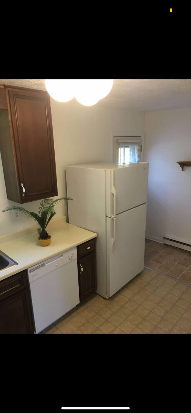 Dish washer and fridge - 21 Marcus Dr