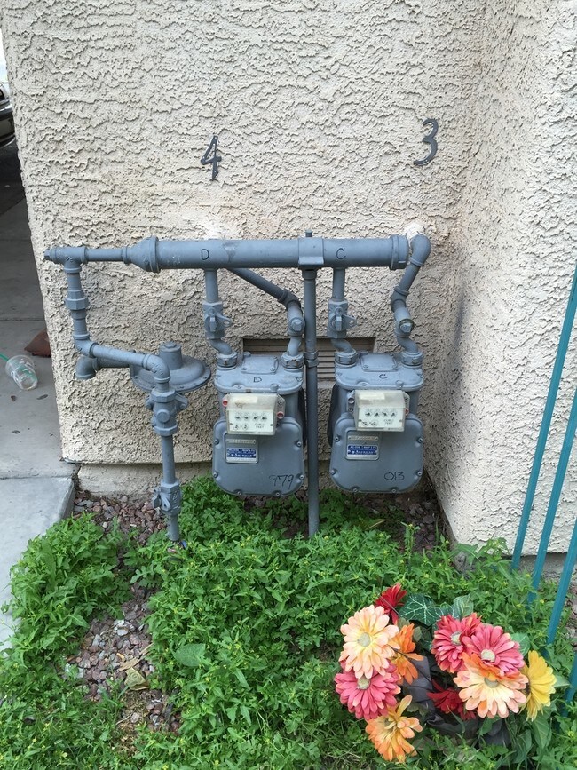 Building Photo - 2021 Sun Ave