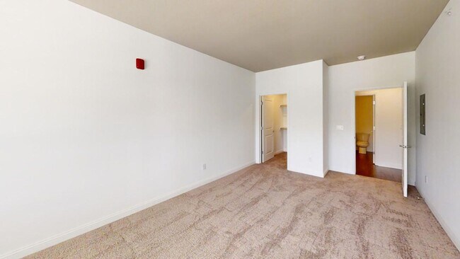 Interior Photo - Precedent Flats