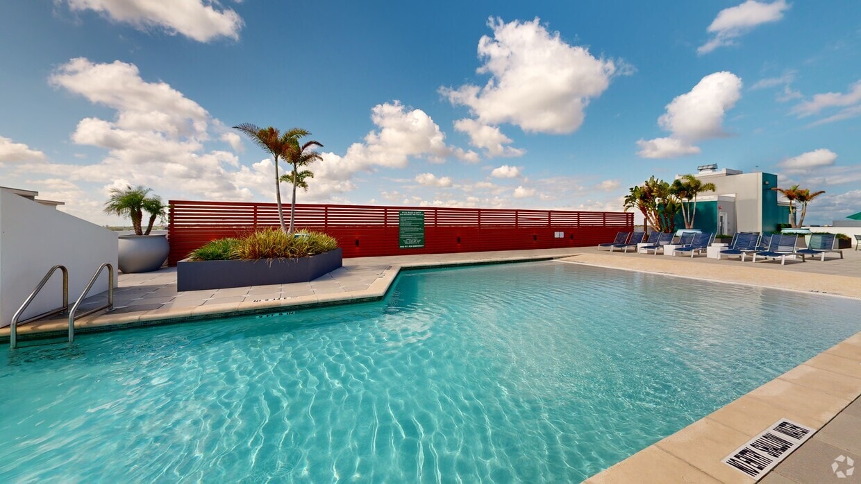 Photo - The Standard at Tampa Apartments