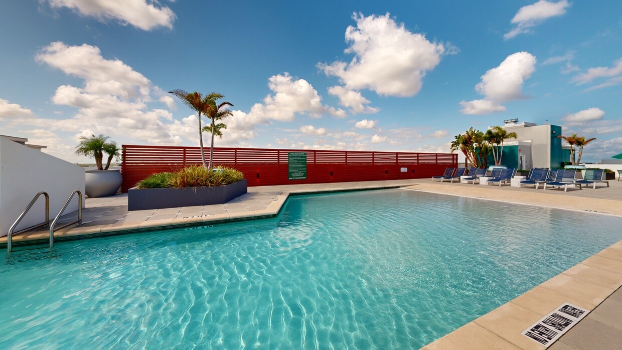 Photo - The Standard at Tampa Apartments