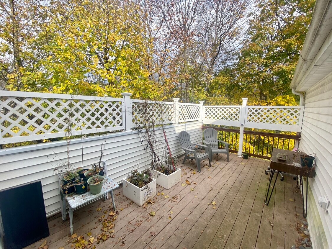 Primary Photo - 12 Dunstan St
