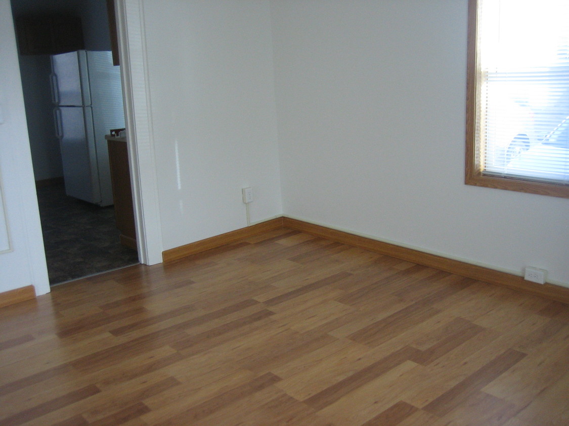 living room - 222 W Broadway Ave