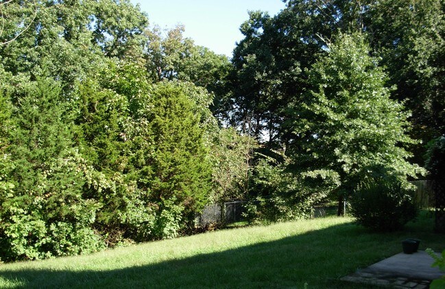Patio trasero - 5167 Louisville Ct