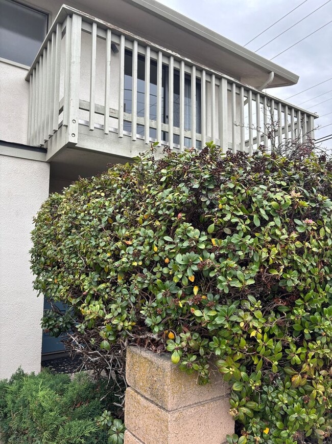 Building Photo - Oak Grove Apartment Available October 1st