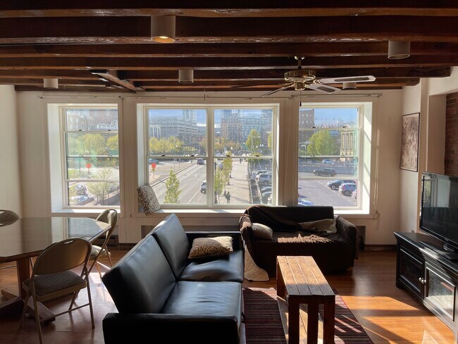 Living Room View - 47 Fulton St