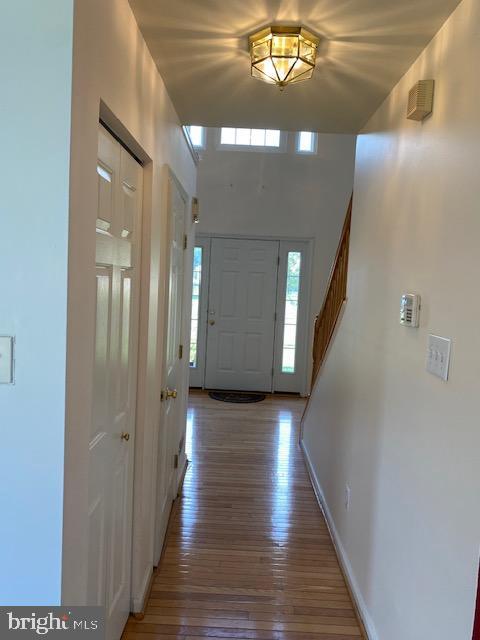 Foto del edificio - 312 Foxtail Ln