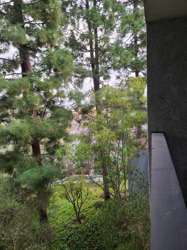 Building Photo - 3605 W Hidden Ln