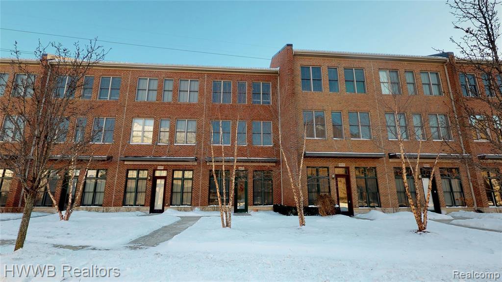 Primary Photo - 509 Lewis St