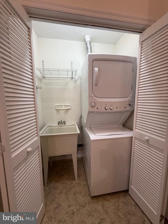 Foto del edificio - 11707 Collinwood Ct